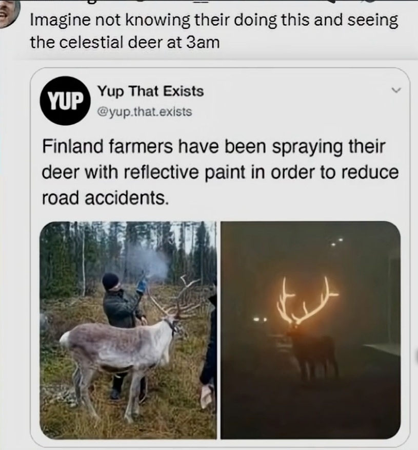 1000106356.jpg