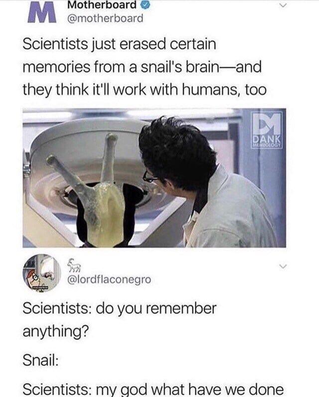 1000118747.jpg