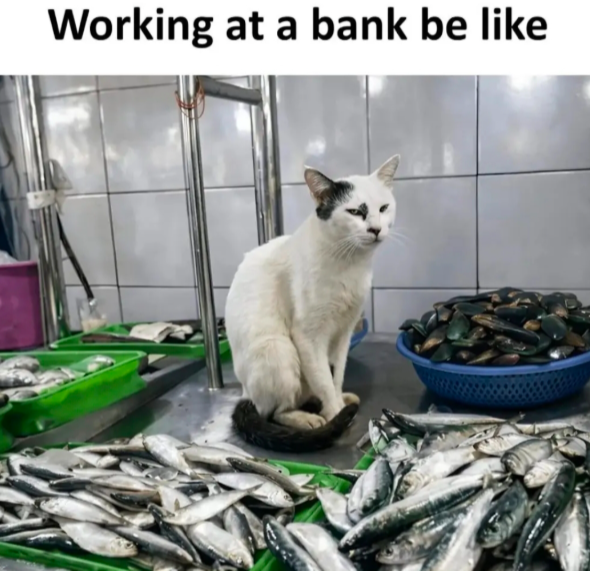 1779256128263.png