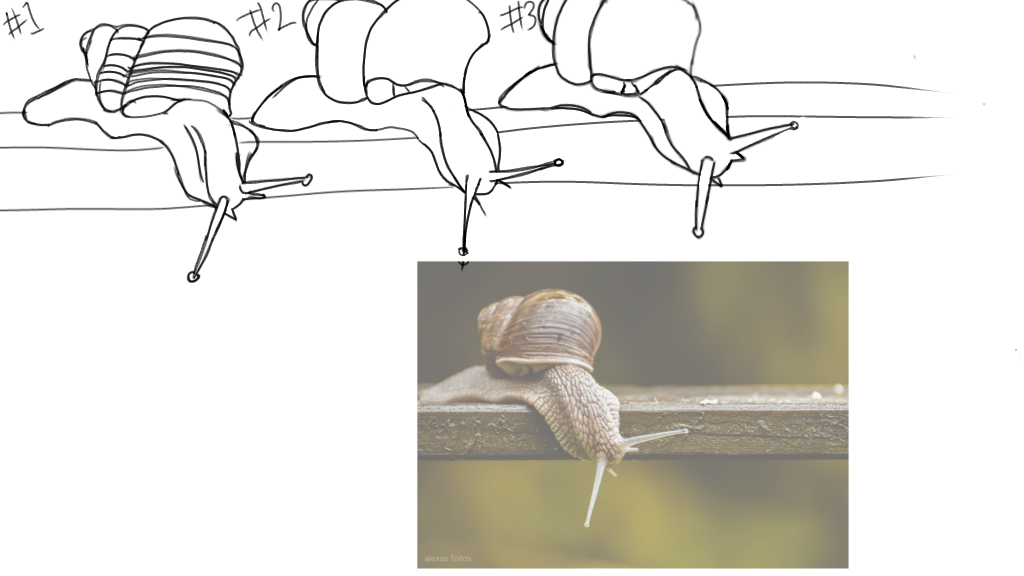 Untitled5_20260503202649.png