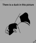1000036790.jpg