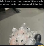 1000074997.jpg