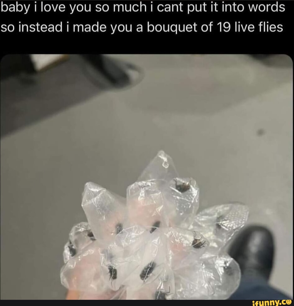 1000074997.jpg