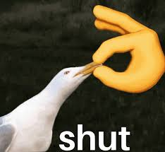 1778403389218.png