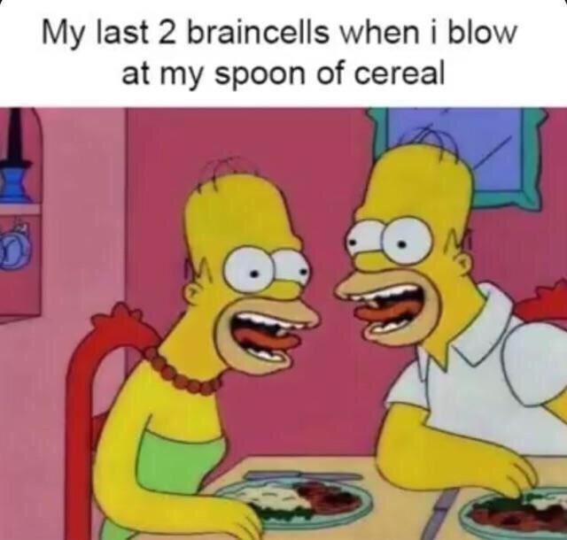 animal-my-last-2-braincells-blow-at-my-spoon-cereal.jpg