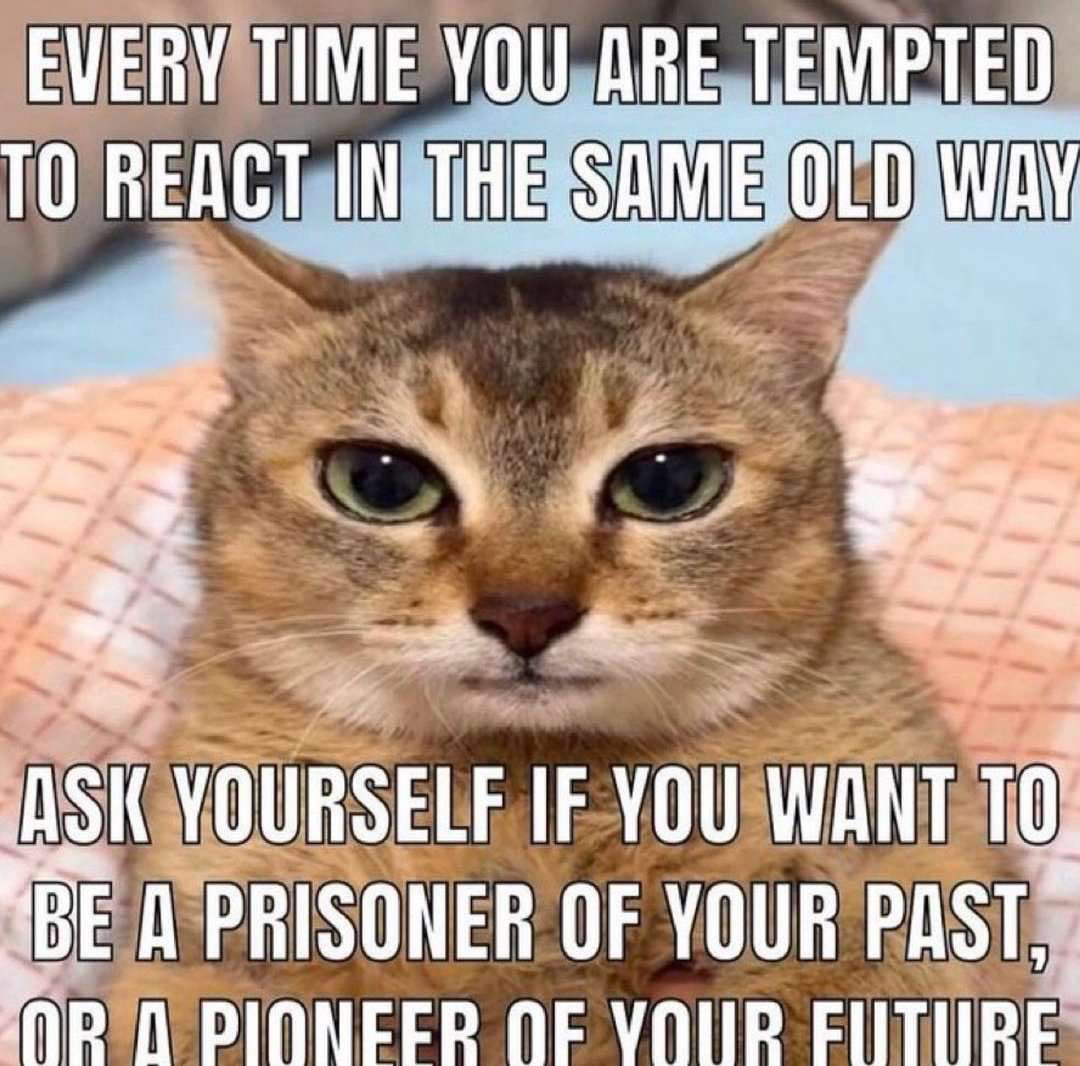 ask yourself before you react.jpg