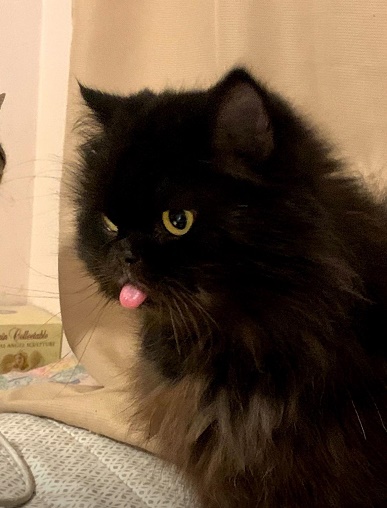 ayljqxfsserb1 (1).jpg