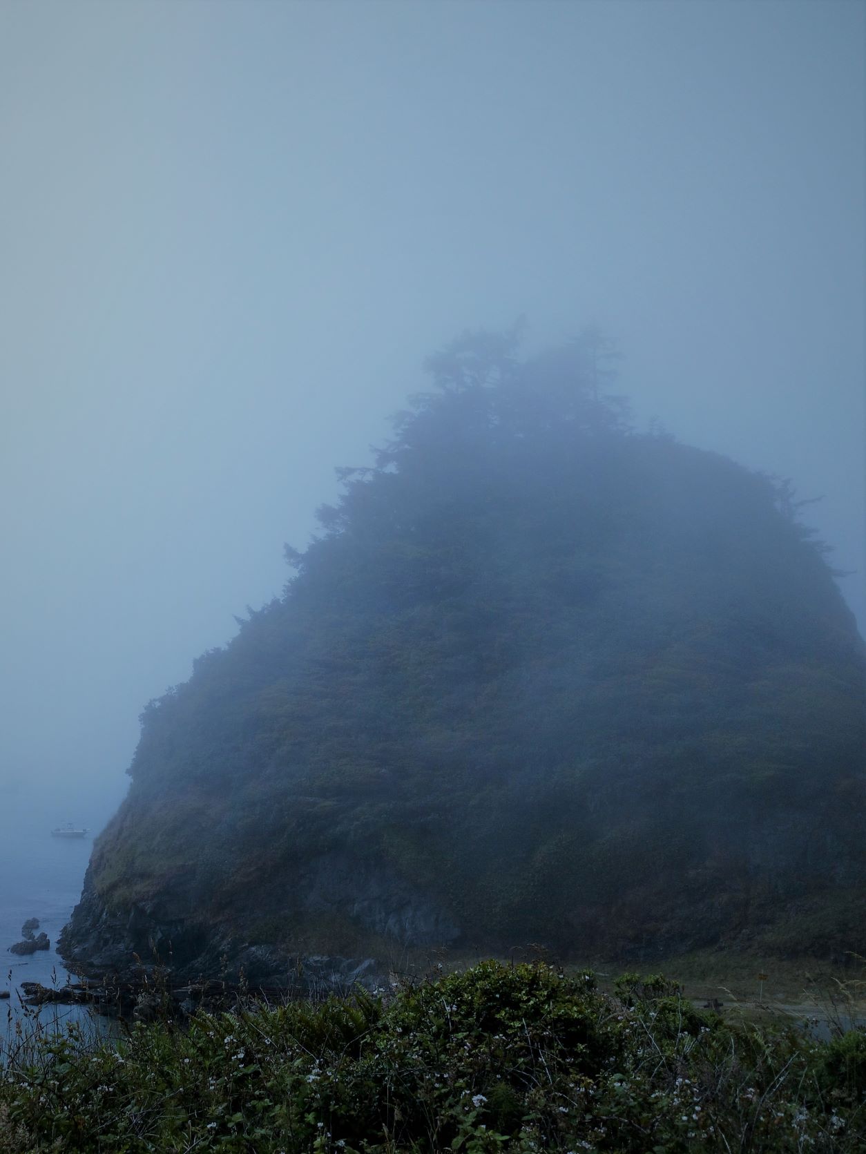 bluefog_mountain.jpg