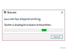 brain.exe stopped working.jpg
