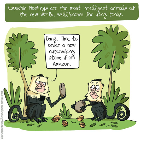 capuchin monkey cartoons 1 gh.jpg