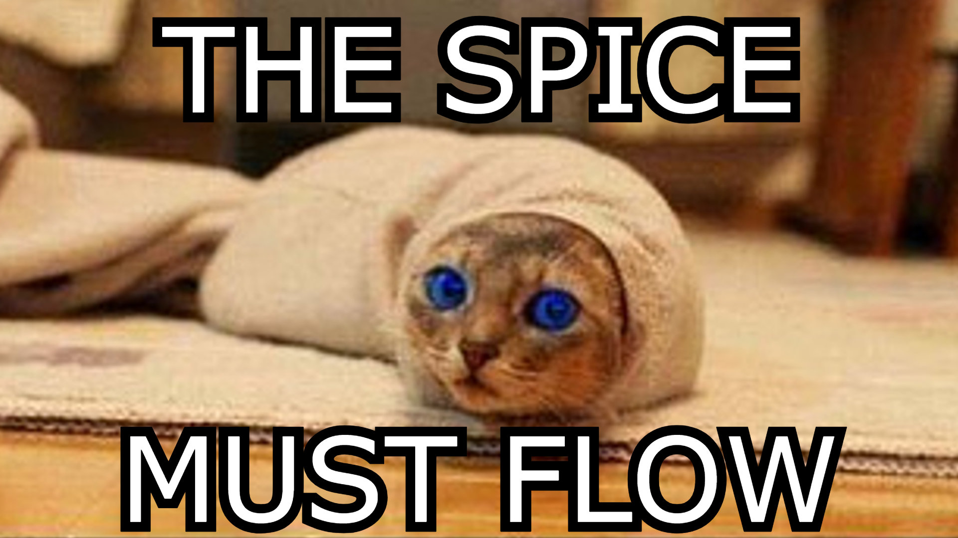 cat the spice must flow.jpg