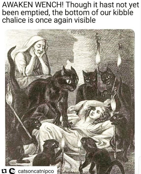 cats bowl bottom visible.jpg