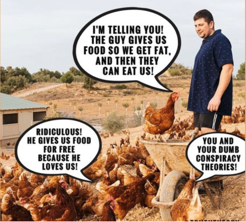 Chicken Conspiracy.png