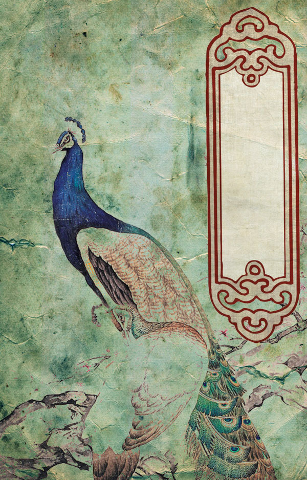 chinese_peacock_01.jpg