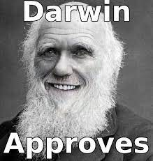 darwin.jpg