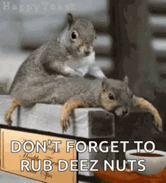 deez-nuts.gif