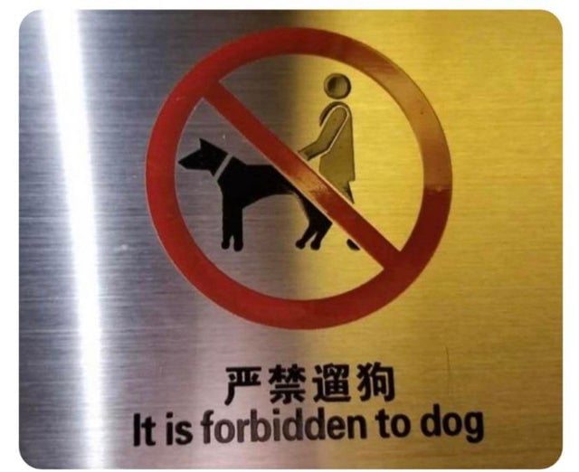 do not the dog.jpg