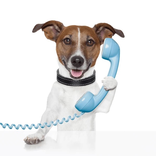 dog-on-phone-talking-calling-600nw-117492673.jpg