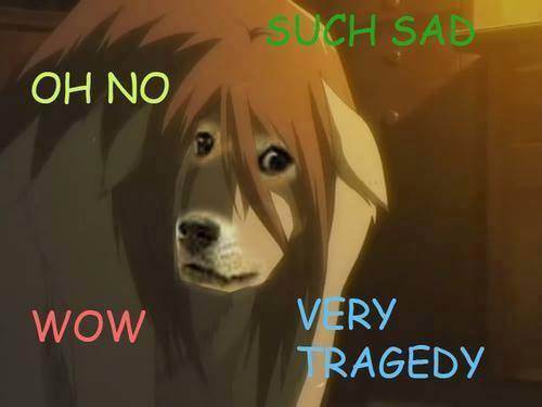 Doge 006.jpg