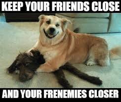 download - 2023-09-11T144336.515.jpeg