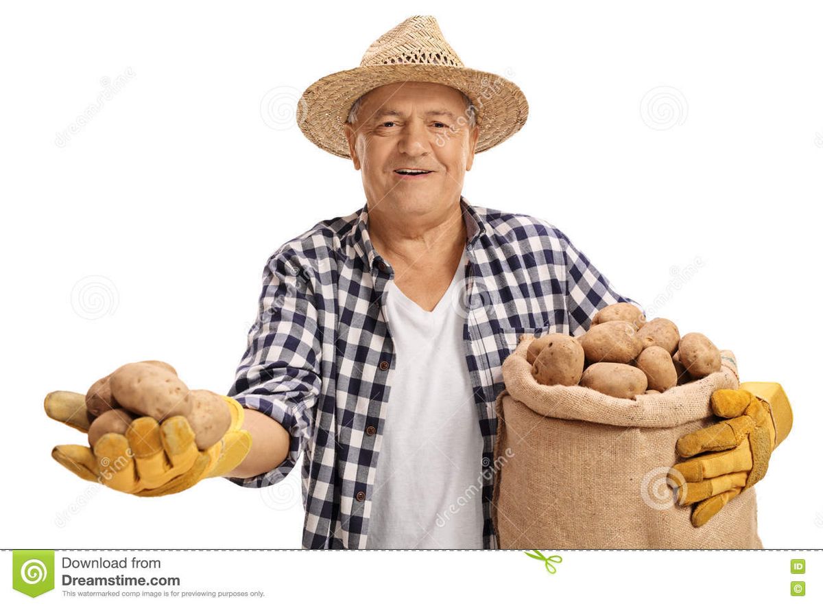 elderly-farmer-holding-potatoes-burlap-sack-filled-potatoes-couple-white-background-79786155.jpg