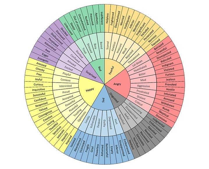 FeelingWheel.jpg