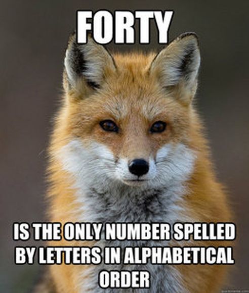 fun_fact_fox_02.jpg