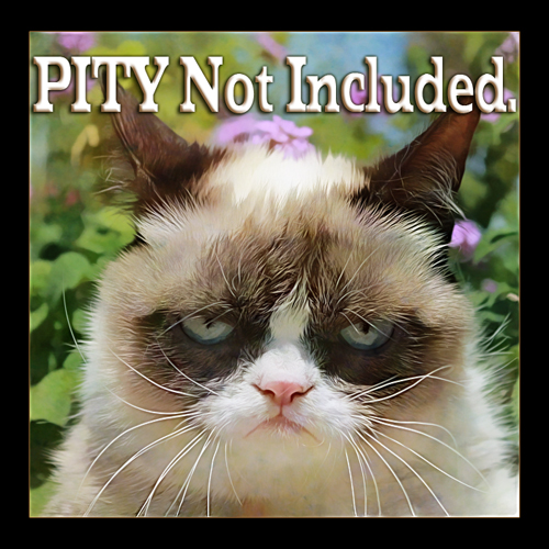grumpy_pity.jpg