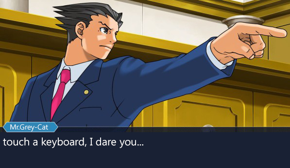 hfg-phoenix-wright-ace-attorney.png