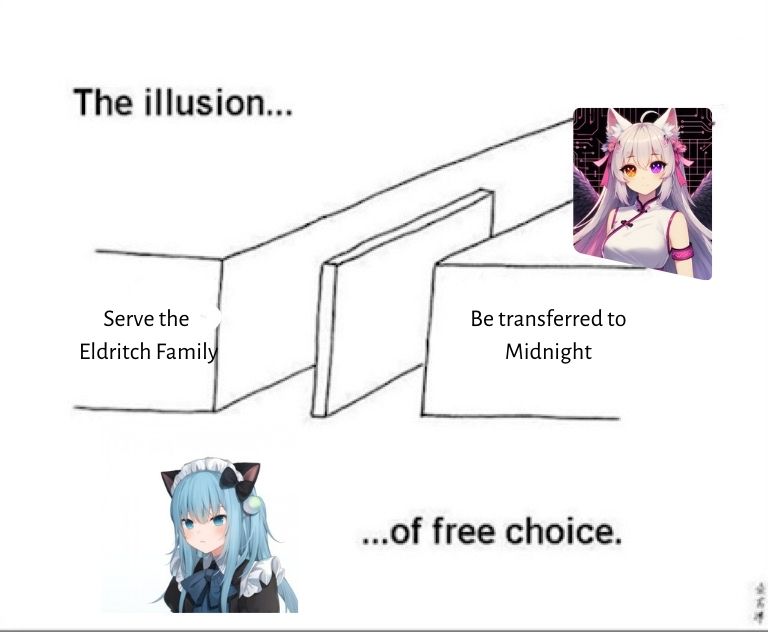 Illusion of free choice.jpg