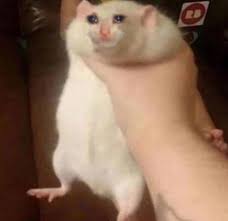 images - 2023-09-10T085443.714.jpeg