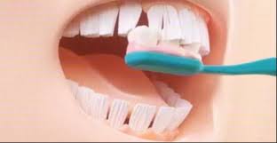 images - 2023-10-09T150348.635.jpeg