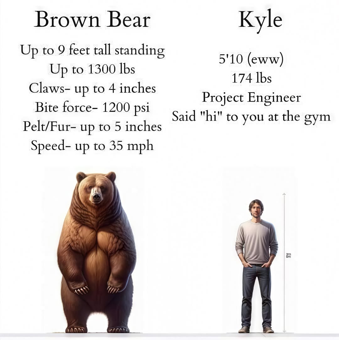 man vs bear.jpg