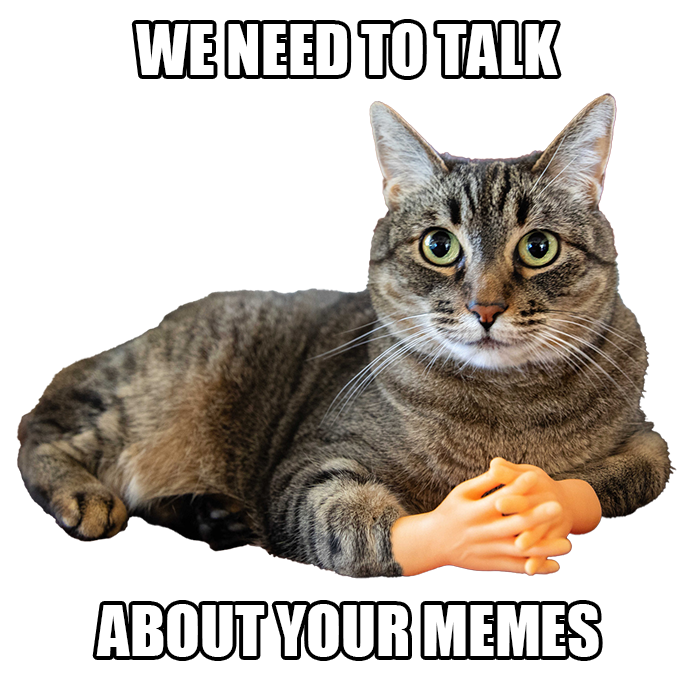 meme_cat.png