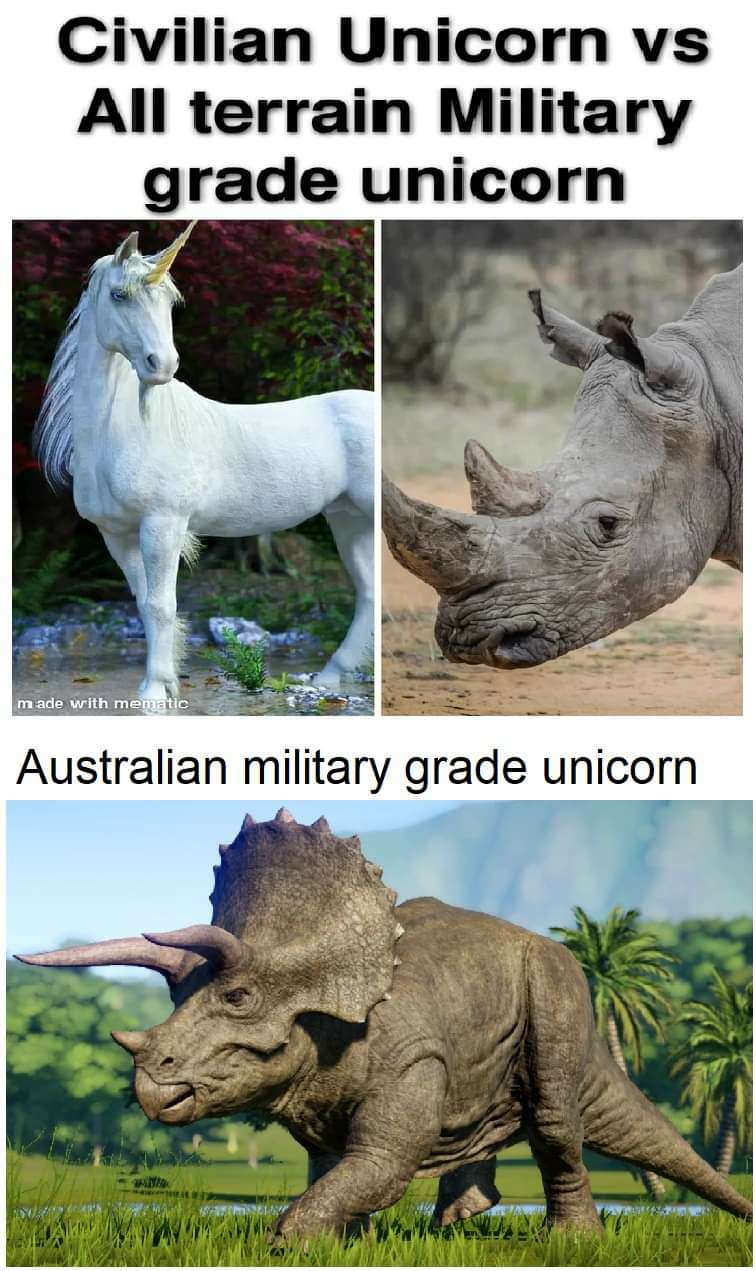 Military Grade Unicorn.jpg