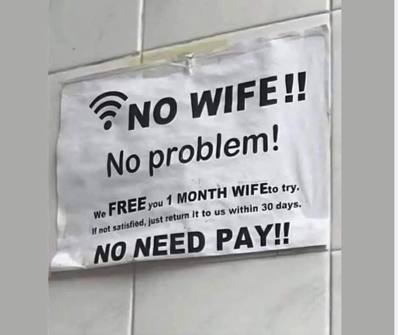 No Wife.png