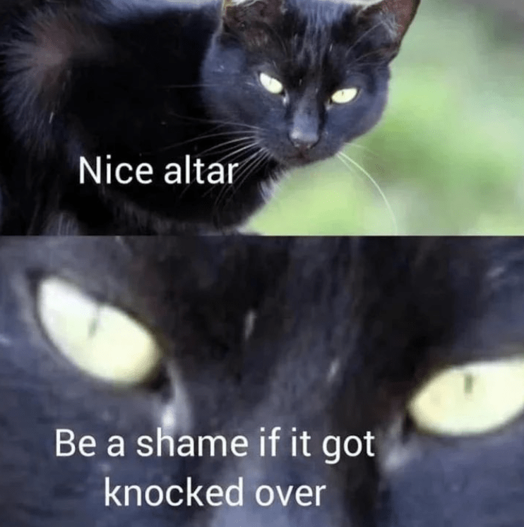 packaged-goods-nice-altar-be-shame-if-got-knocked-over.png