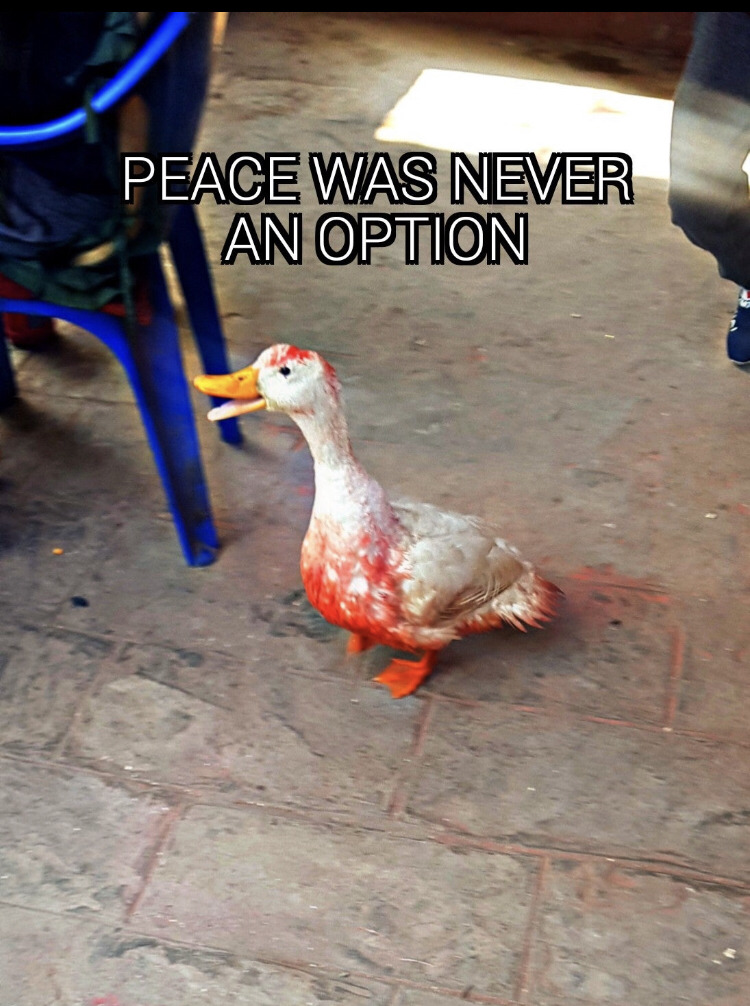 peace was never an option.jpg