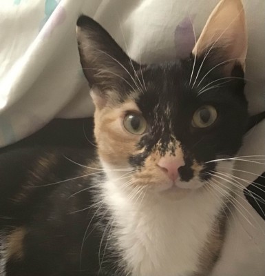 photo_2025-10-11_15-06-04 (1).jpg