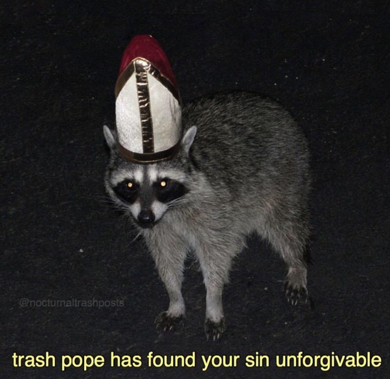 raccoon-nocturnaltrashposts-trash-pope-has-found-sin-unforgivable.jpg