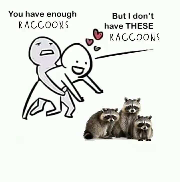 Raccoon Reaction Meme.jpg