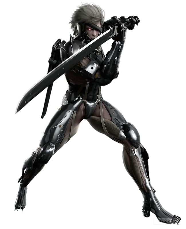 raiden.png