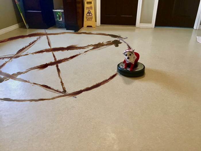 roomba pentagram dog.jpg