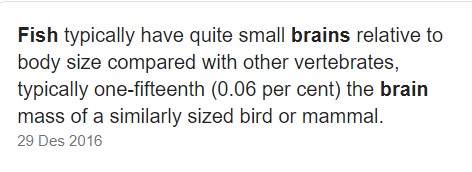 Screenshot 2020-10-20 195225.jpg