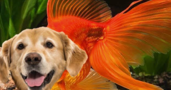 Screenshot 2022-04-28 11.11.11 PM.png