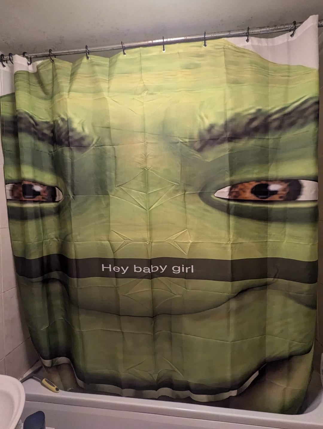 shower-curtain-goes-hard-v0-qjjx2xjm1ppd1.jpeg