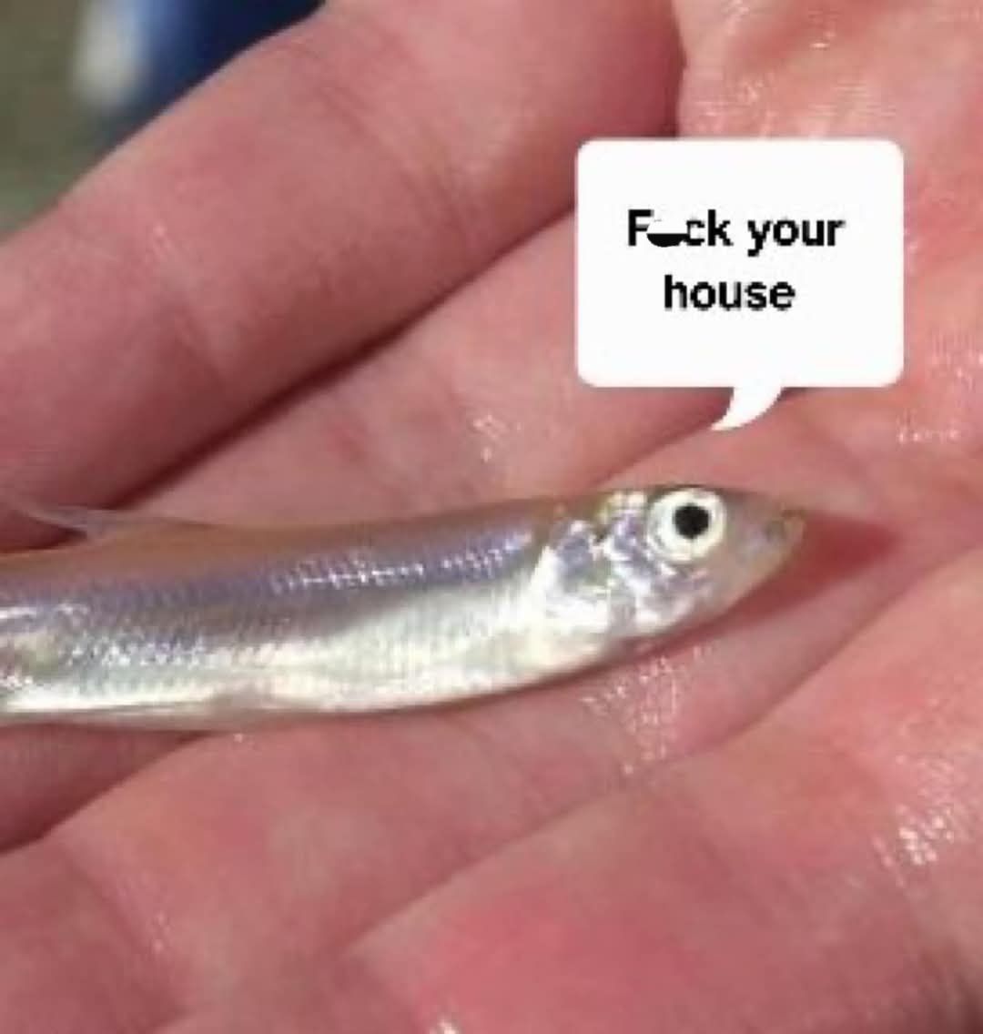 Smelt Fish.jpg