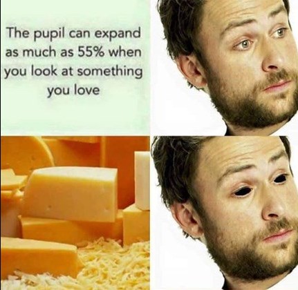 stupid-cheese-memes-and-puns.jpg