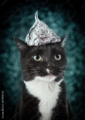 tinfoilcat.png