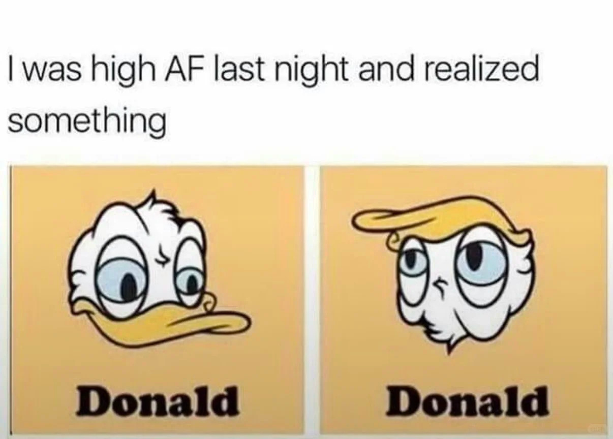 WhatsApp Image 2025-09-08 at 14.52.42_a6a46498.jpg